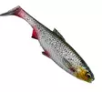 Savage Gear 3D River Roach 10cm 10g - Lapiopyrstöiset kalajigit - 3400300096 - 4