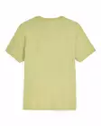 Simms Trout Outline T-Shirt Tent Green - Miesten t-paidat - 694264694466 - 2