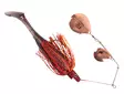 Strike Pro Pig Chopper XL 32g - Spinner - ja chatterbaitit - 2602202346 - 1