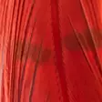 Veniard Cock Pheasant Colour Extracted Tail Feather - Pyrstöt - 404503000026 - 5
