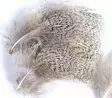 Veniard English Partridge Grey Neck Feathers - Muut sulat ja höyhenet - 40401030006 - 2
