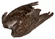 Veniard Grouse Wings - Nahat, siivet ja päät - 5056304601615 - 1