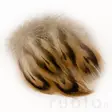 Veniard Mallard Breast Feathers - Klassiset sulat - 5056304602544 - 2