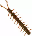 Westin Centipede Creaturebait 9,5cm 4g - Kelluvat jigit - 173006 - 4