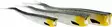 Westin TwinTeez V-Tail 24cm - Haarapyrstöiset jigit - 1734056 - 8