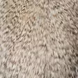 Whiting Spey Cape Pro Grade - Muut kukonniskat ja -satulat - 40350200006 - 6