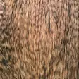 Whiting Spey Cape Pro Grade - Muut kukonniskat ja -satulat - 40350200006 - 11