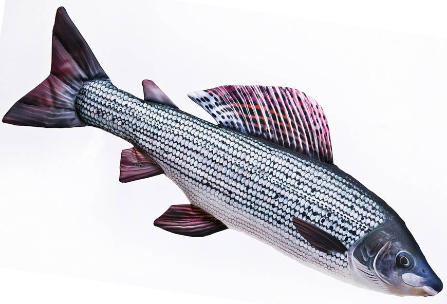 Gaby Grayling 65cm - Pehmokalat - 5905279175426 - 1