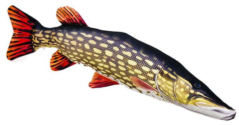 Gaby Jättihauki Pehmokala - Pehmokalat - 5905279175006 - 1