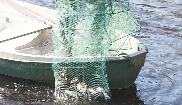 Aapo Kalatupa 8,5M - Katiskat - 6418252939186 - 2