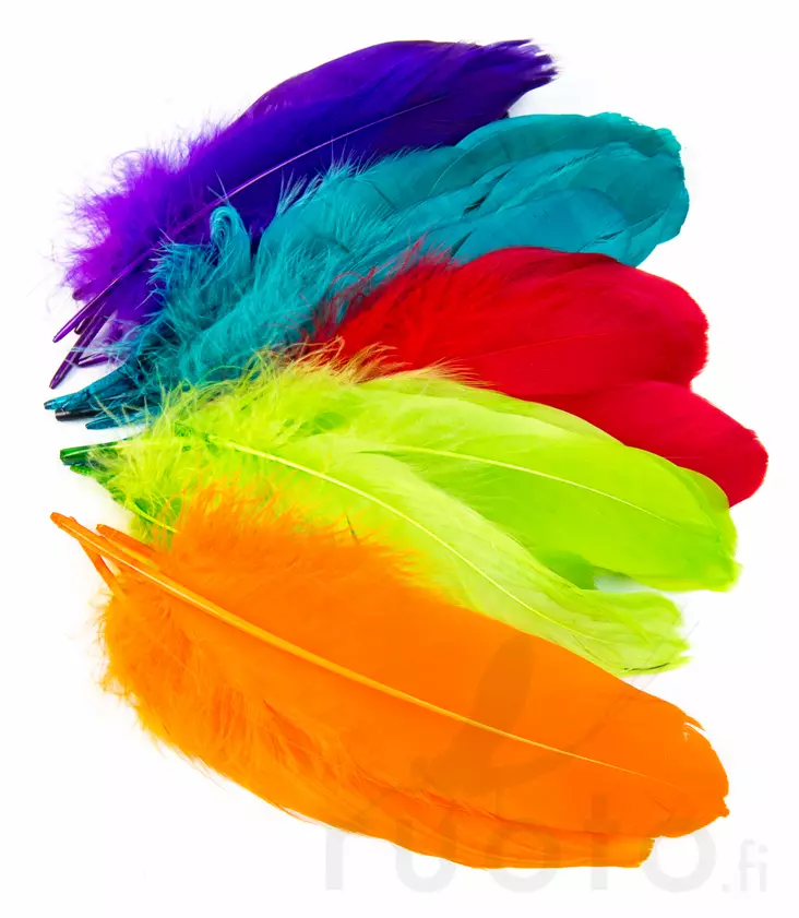 Goose Shoulder - Klassiset sulat - 4045030096 - 1