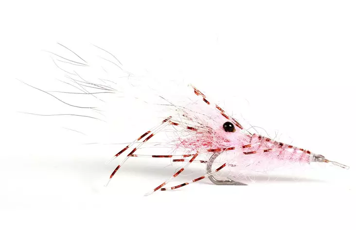 Leoshrimp Pink - Katka-/katkarapuperhot - 7033840130326 - 1