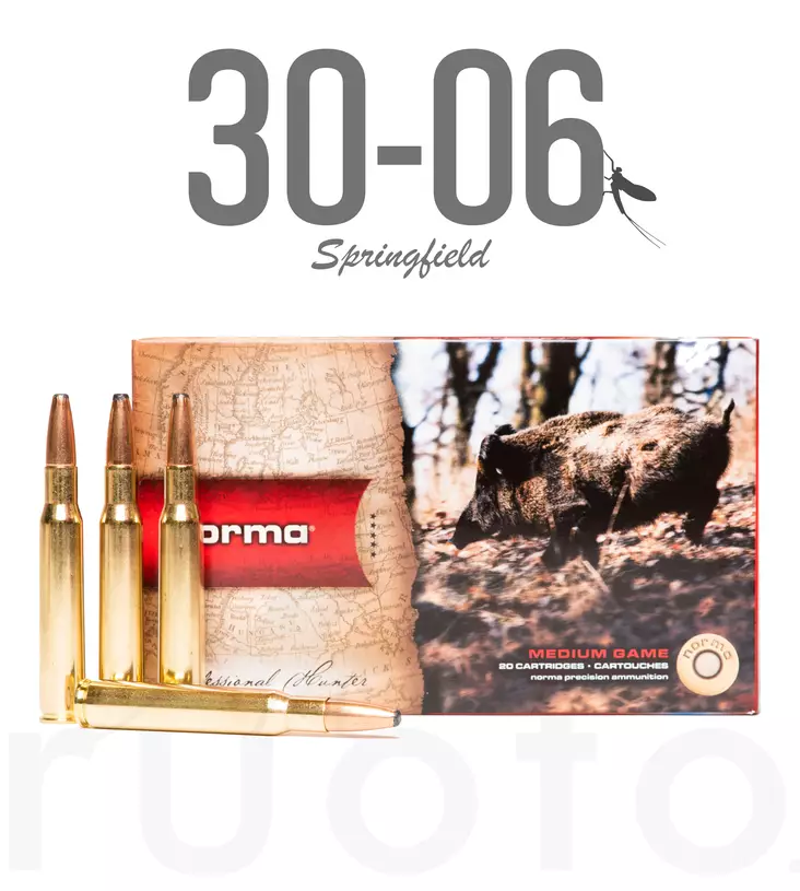 Norma Oryx 30-06 Sprg 11,7g 20pcs - Patruunat 30-06 Springfield - 7393923314006 - 1