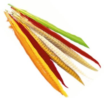 Veniard Cock Pheasant Colour Extracted Tail Feather - Pyrstöt - 404503000026 - 1