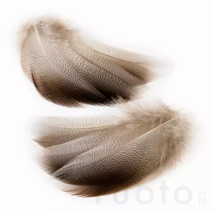 Veniard Mallard Bronze Shoulder - Klassiset sulat - 5056304602506 - 2