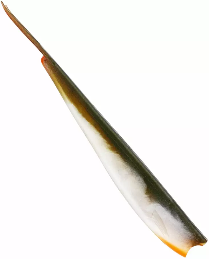 Westin TwinTeez V-Tail 24cm - Haarapyrstöiset jigit - 1734056 - 1