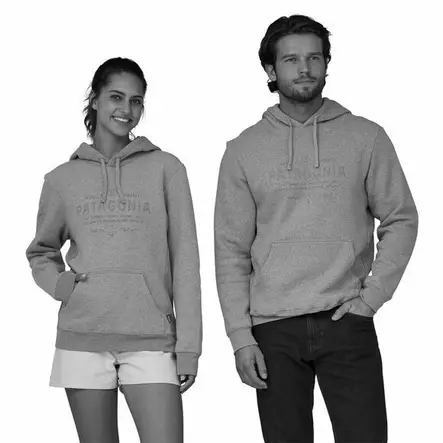 Patagonia Forge Mark Uprisal Hoody Sleet Green - Hupparit - 195699808027 - 2