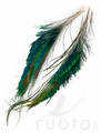 Veniard Peacock Sword Tails - Muut sulat ja höyhenet - 5056304603862 - 3