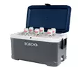 Igloo Maxcold 66l Cooler Dark Gray - Kylmälaukut ja -laatikot - 0034223506797 - 4