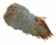 Natures Spirit Ringneck Pheasant Rump Patch - Muut sulat ja höyhenet - 404503000677 - 3