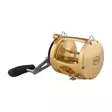 Penn International 80VISW Gold - Kevyet rannikkokelat - 031324167087 - 2