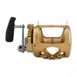 Penn International 80VISW Gold - Kevyet rannikkokelat - 031324167087 - 3