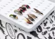 Vision Fish Fit Boxes - Perhorasiat - 6417512818827 - 3