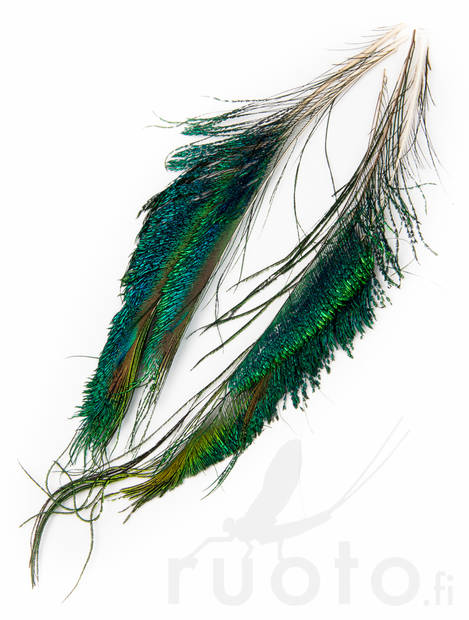 Veniard Peacock Sword Tails - Muut sulat ja höyhenet - 5056304603862 - 3