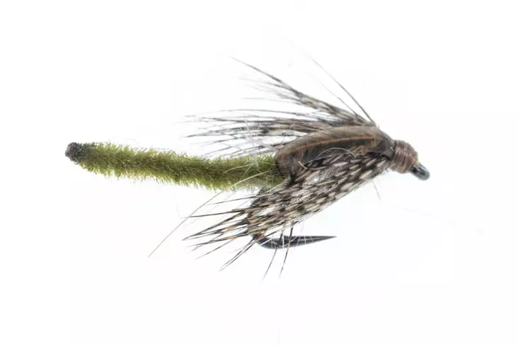 Chenille Pupa Olive -pintapupa - Nymfit ja larvat - 06429810537317 - 1