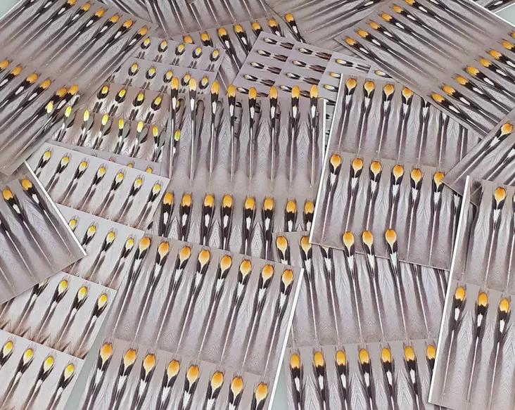 FutureFly Articial Jungle Cock - Viidakkokukko ja -jäljitelmät - 5712462020827 - 1