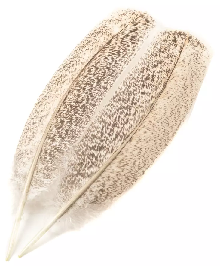 H.S.C. Turkey Wing Mottled Oak - Klassiset sulat - 6438407010447 - 1