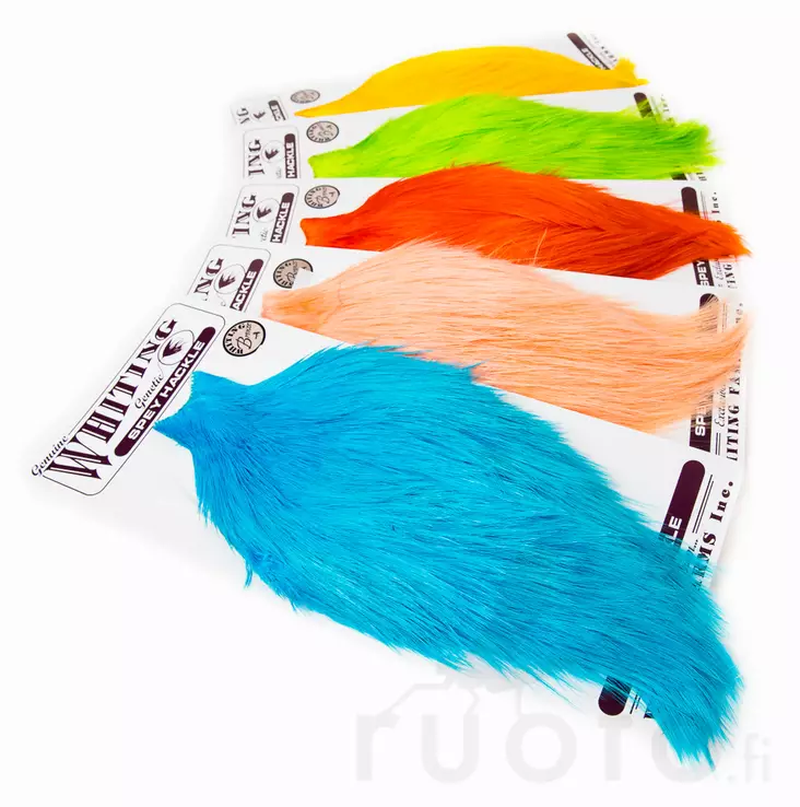 Whiting Spey Cape Bronze Grade - Muut kukonniskat ja -satulat - 40350200007 - 1