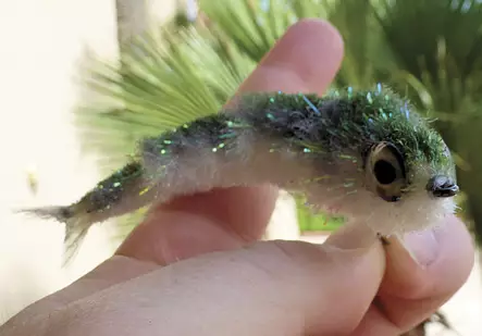 Fish Skull Articulated Fish-Spine Starter Pack - Muut sidontatarvikkeet - 67054116408 - 2