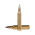 Norma Evostrike .300 Win Mag 9,0g 20pcs - Patruunat 300 Winchester Mag - 7393923325408 - 1
