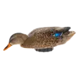 Avian-X Power Shaker Mallard Hen Surface Feeder - Houkutuskuvat / -kaaveet - 888151047538 - 1