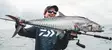 Daiwa 25 Saltiga 35 - Meri- ja vetouistelukelat - 043178187258 - 3