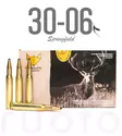 Fox Bullets 30-06 Sprg 11,7g 20pcs - Patruunat 30-06 Springfield - 3830067345328 - 1