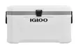 Igloo Marine Ultra 66l Cooler White - Kylmälaukut ja -laatikot - 0034223506728 - 1