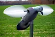 MOJO Pigeon - Houkutuskuvat / -kaaveet - 816740002828 - 3