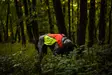 Non-stop Dogwear Protector Vest 2.0 Orange - Koiran liivit ja vaatteet - 7071652045568 - 4