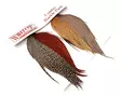 Whiting Introductory Hackle Pack Capes -häkiläpakkaus - Pintaperhoniskat ja -satulat - 6160440133738 - 1