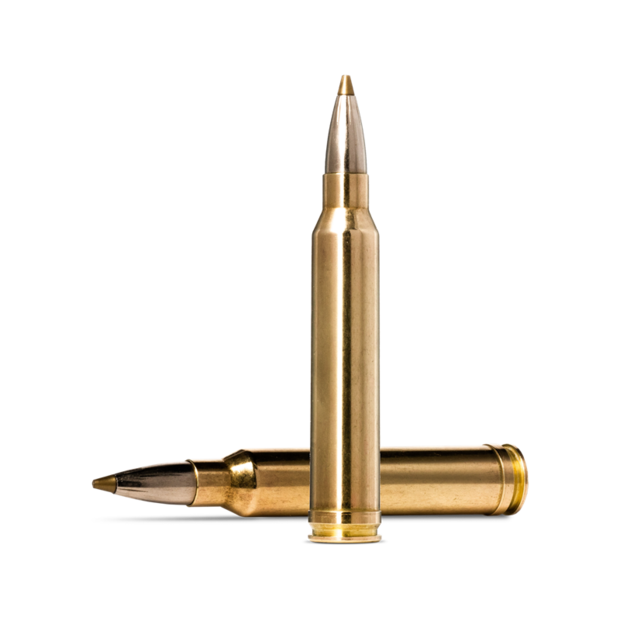 Norma Evostrike .300 Win Mag 9,0g 20pcs - Patruunat 300 Winchester Mag - 7393923325408 - 1