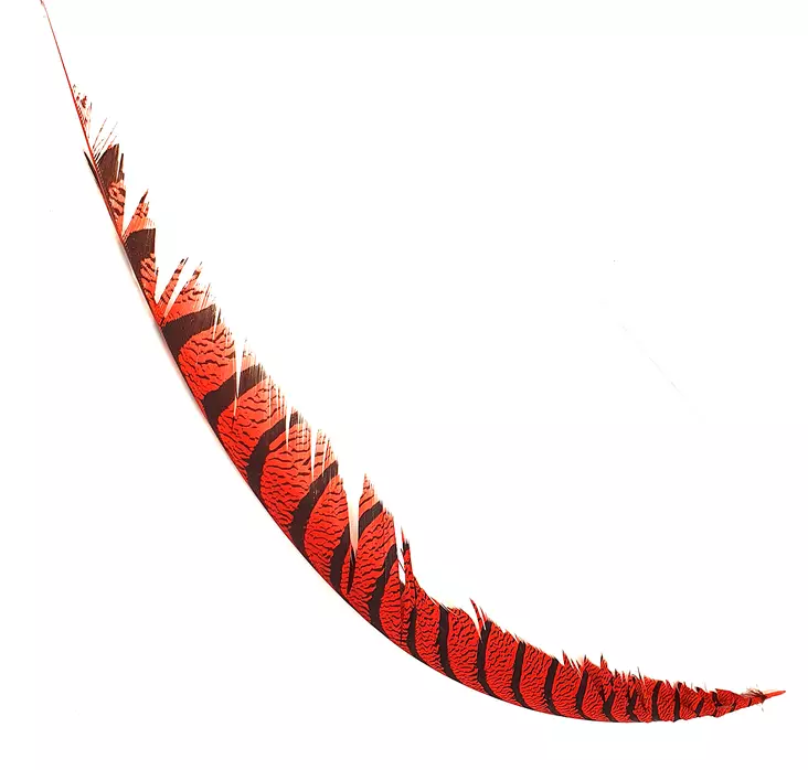 Hareline Lady Amherst Center Tail - Pyrstöt - 40400700518 - 1