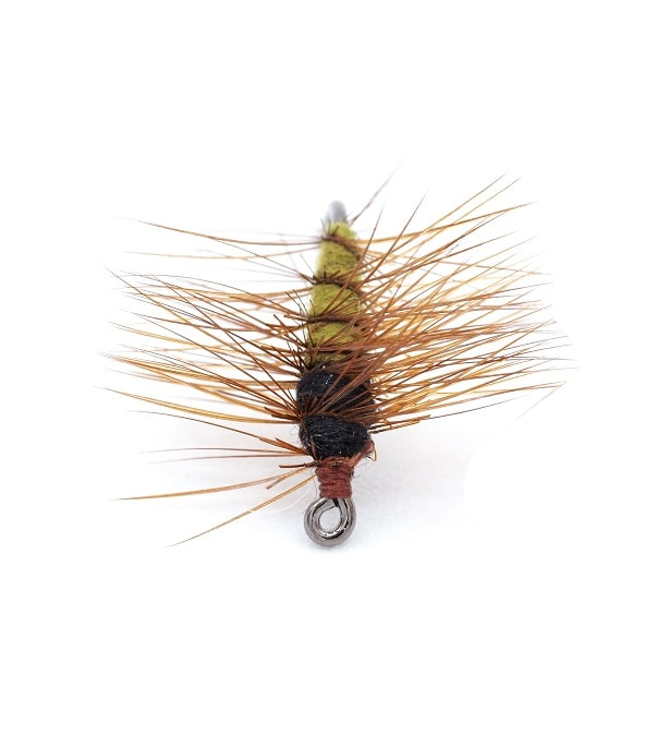 Super Pupa Olive -pintaperho - Pintaperhot - 06429810537638 - 1