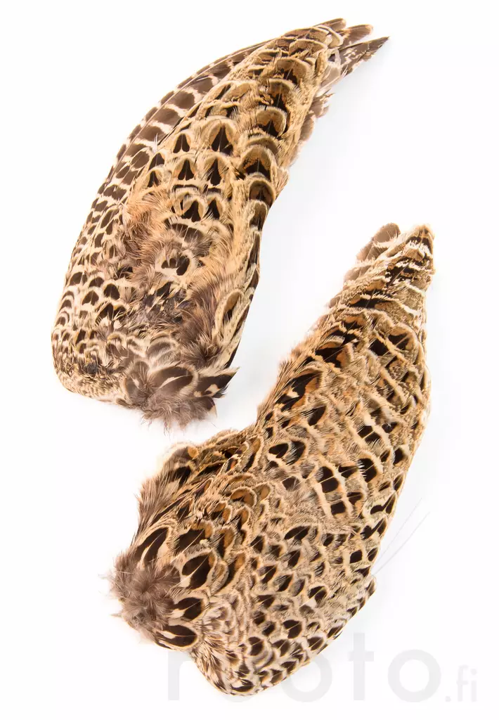 Veniard Hen Pheasant Wings - Nahat, siivet ja päät - 5056304604586 - 1