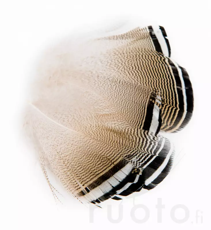 Wapsi Wood Duck Black and White Flank Feathers - Klassiset sulat - 053526035018 - 2