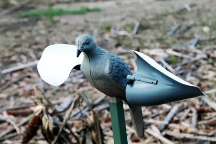 MOJO Wind Dove - Houkutuskuvat / -kaaveet - 816740002019 - 2