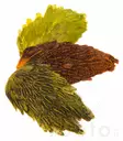 Hareline India Hen Back - Kananniskat ja -satulat - 40350200109 - 1