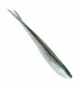 Lunker City Fin-S Fish 9cm - Haarapyrstöiset jigit - 1730030009 - 6