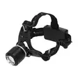 Mikado Head Torch 550 lm UV - Otsalamput, bivvy-valot & lyhdyt - 5900637018179 - 1